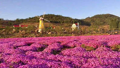 “特色小鎮(zhèn)”和“田園綜合體”之間有關(guān)系嗎？有融合發(fā)展的可能嗎？
