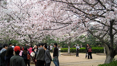 大學(xué)校園景觀規(guī)劃設(shè)計(jì)的價值