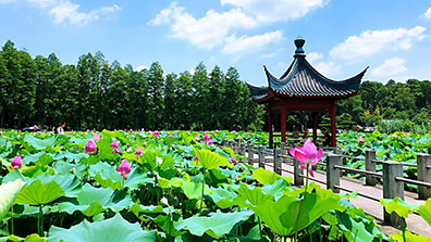 園林規(guī)劃中路徑設計的重要作用