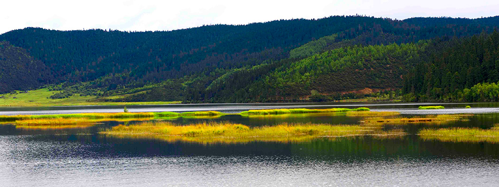 森林公園景觀設計圖片