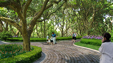 園林景觀設(shè)計中植物造景要點