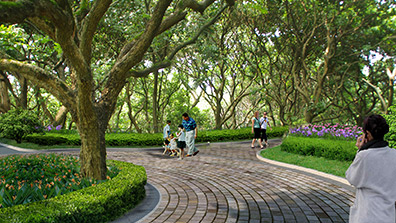 城市園林設(shè)計過程中的植物配置方法