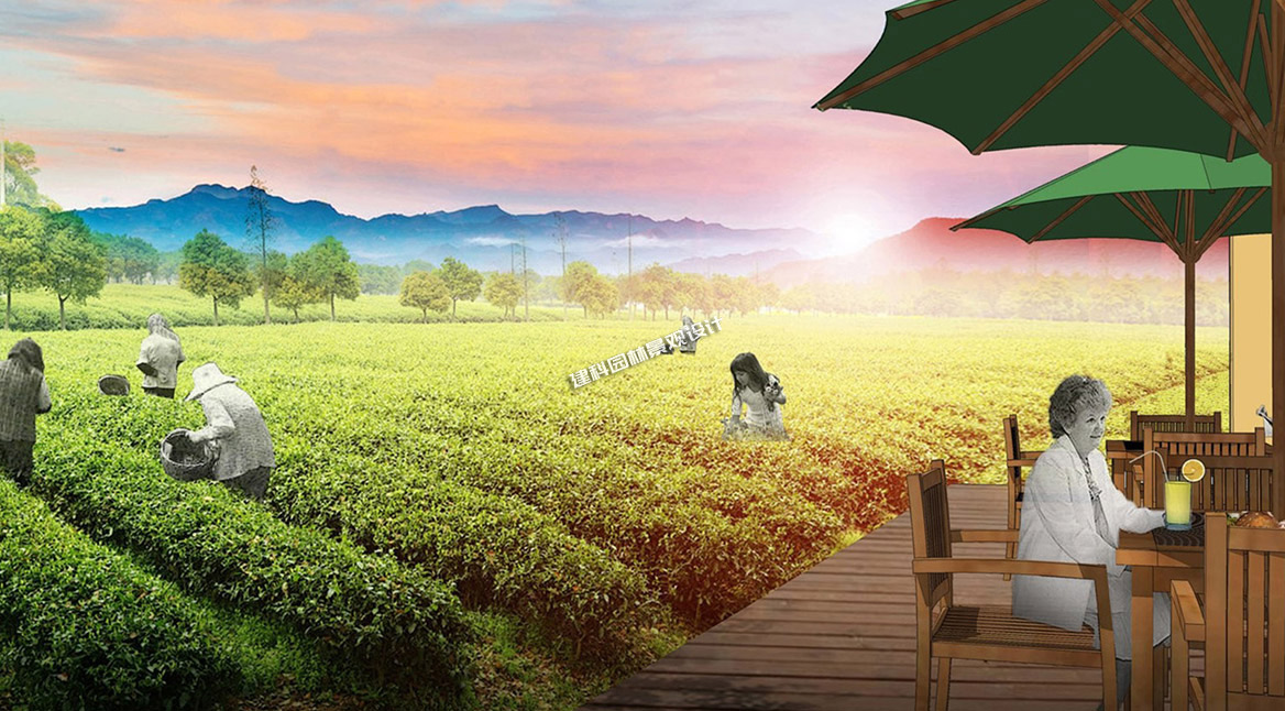 農業(yè)園區(qū)休閑景觀設計的特點